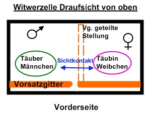 witwerzelle_funktionsprinziep_taubenzucht